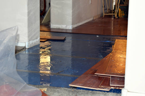 Professional Water Damage Restoration technician working in Shepherd, MI